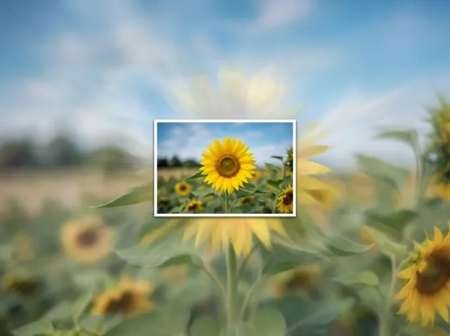Image Extender