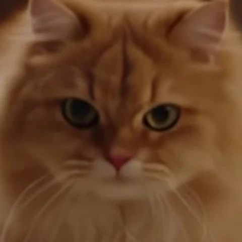 Same frame, zoomed in: Draft · 480p
